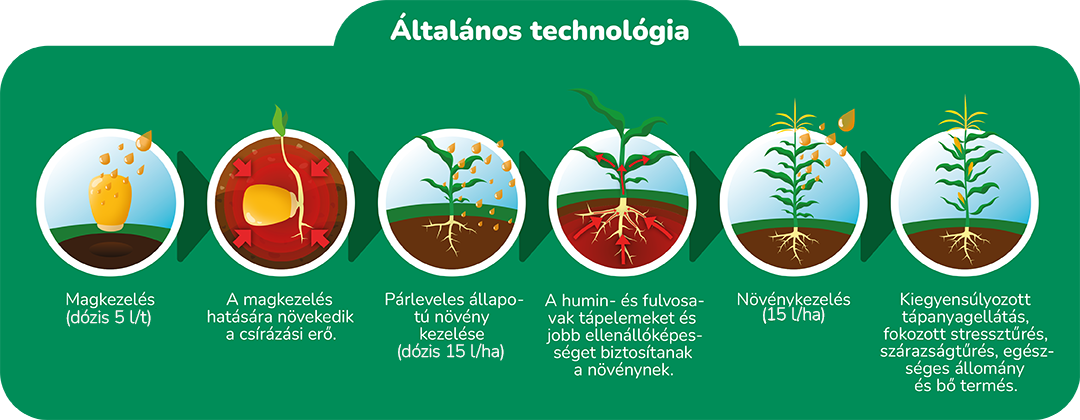 Altalanos_Tech_banner_1.png