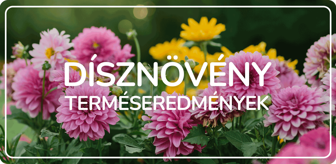 Dísznövény terméseredmények