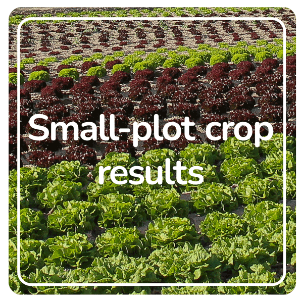 Small-plot crop results