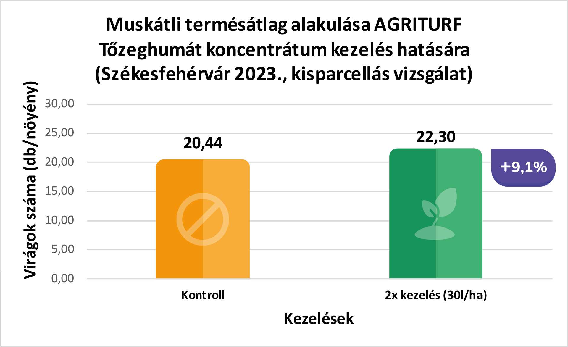 muskatli-2023-szekesfehervar_1.png