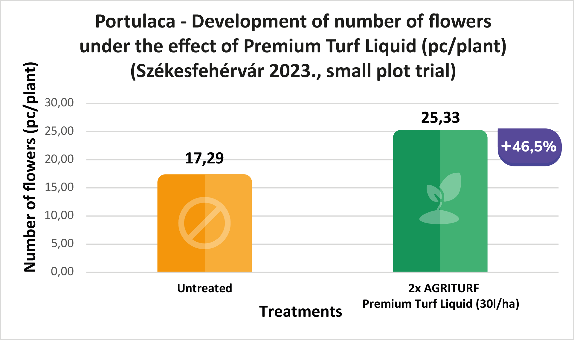 porcsinrozsa-2023-szekesfehervar_1.png