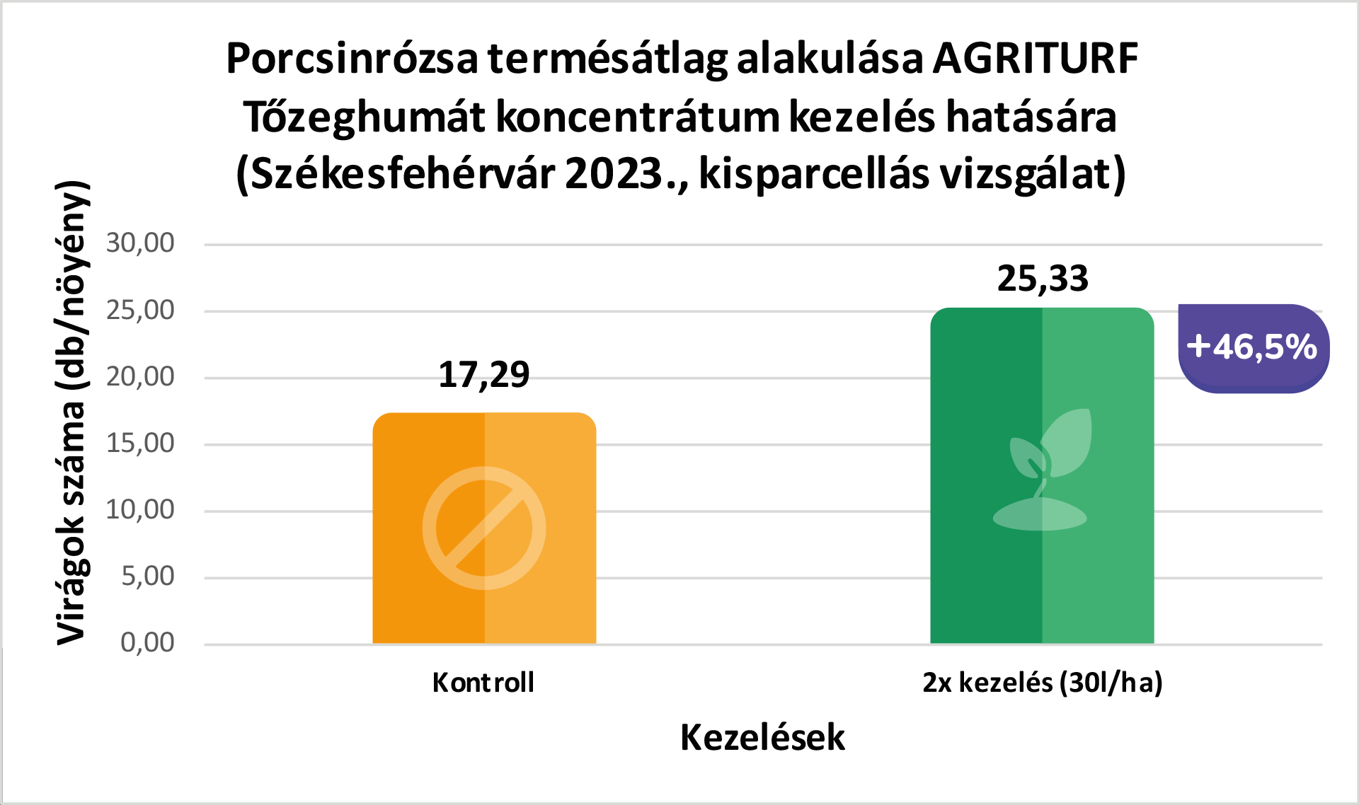 porcsinrozsa-2023-szekesfehervar_1.png