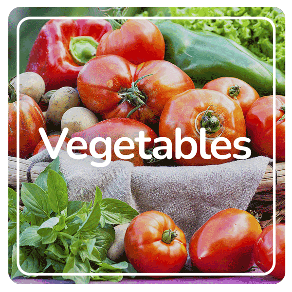 Vegetables results