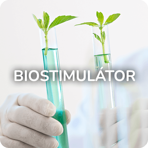 Biostimulátor