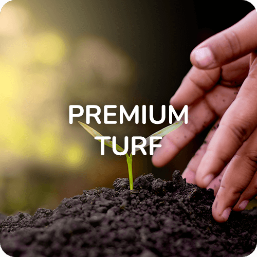 Premium turf